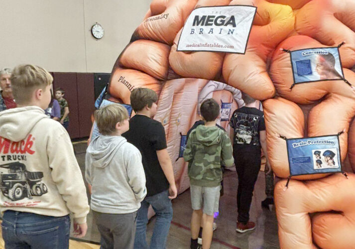 ‘Mega Brain’ | News, Sports, Jobs - The Intermountain